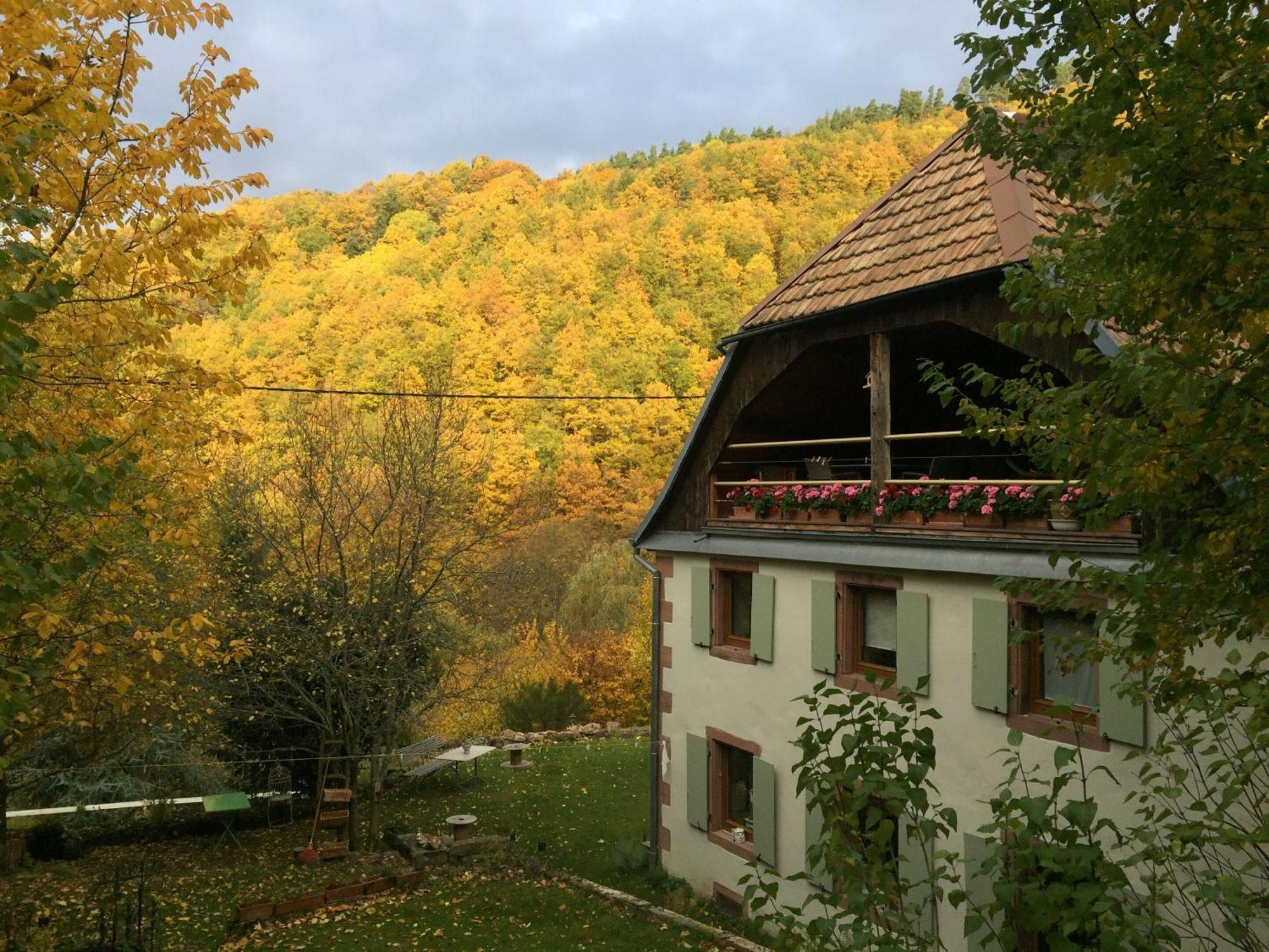 La Pierre D'Eau Hotel Freland Bagian luar foto